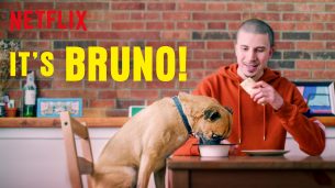 Welcome Bruno