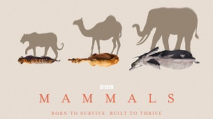 Mammals (2024)
